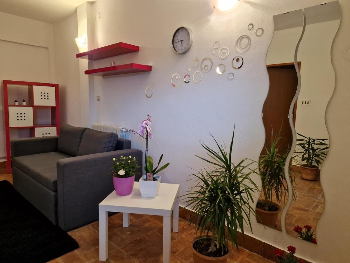 Apartman Sandro Motovun Bagian luar foto
