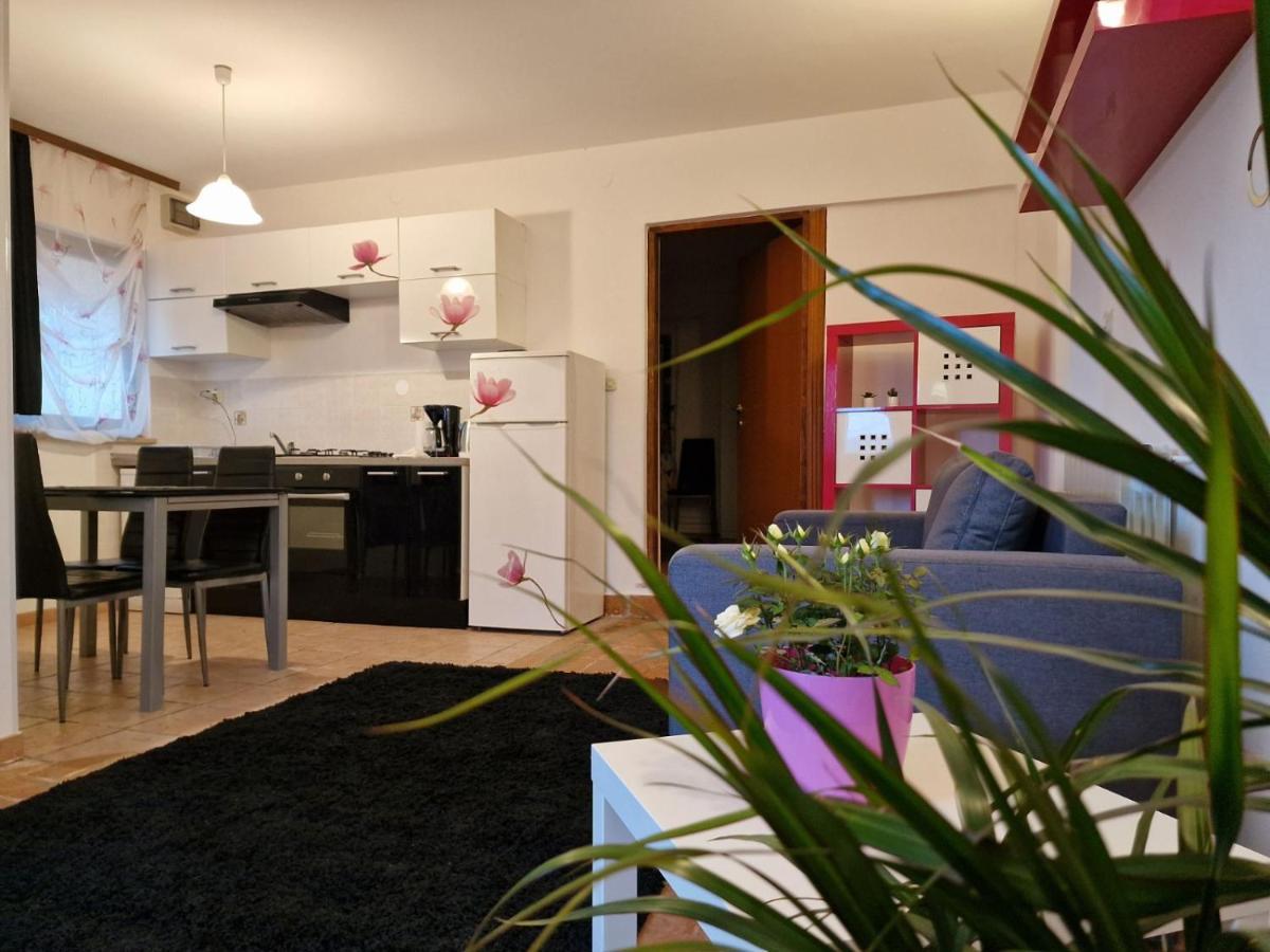 Apartman Sandro Motovun Bagian luar foto