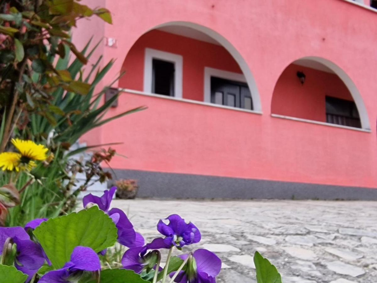 Apartman Sandro Motovun Bagian luar foto